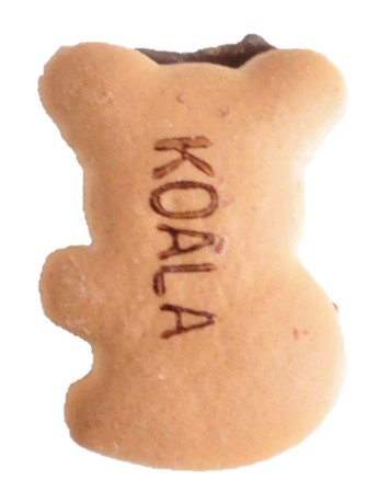 厚焼きたべっ子どうぶつチョコビスケットのレアなKOALA（コアラ）の写真