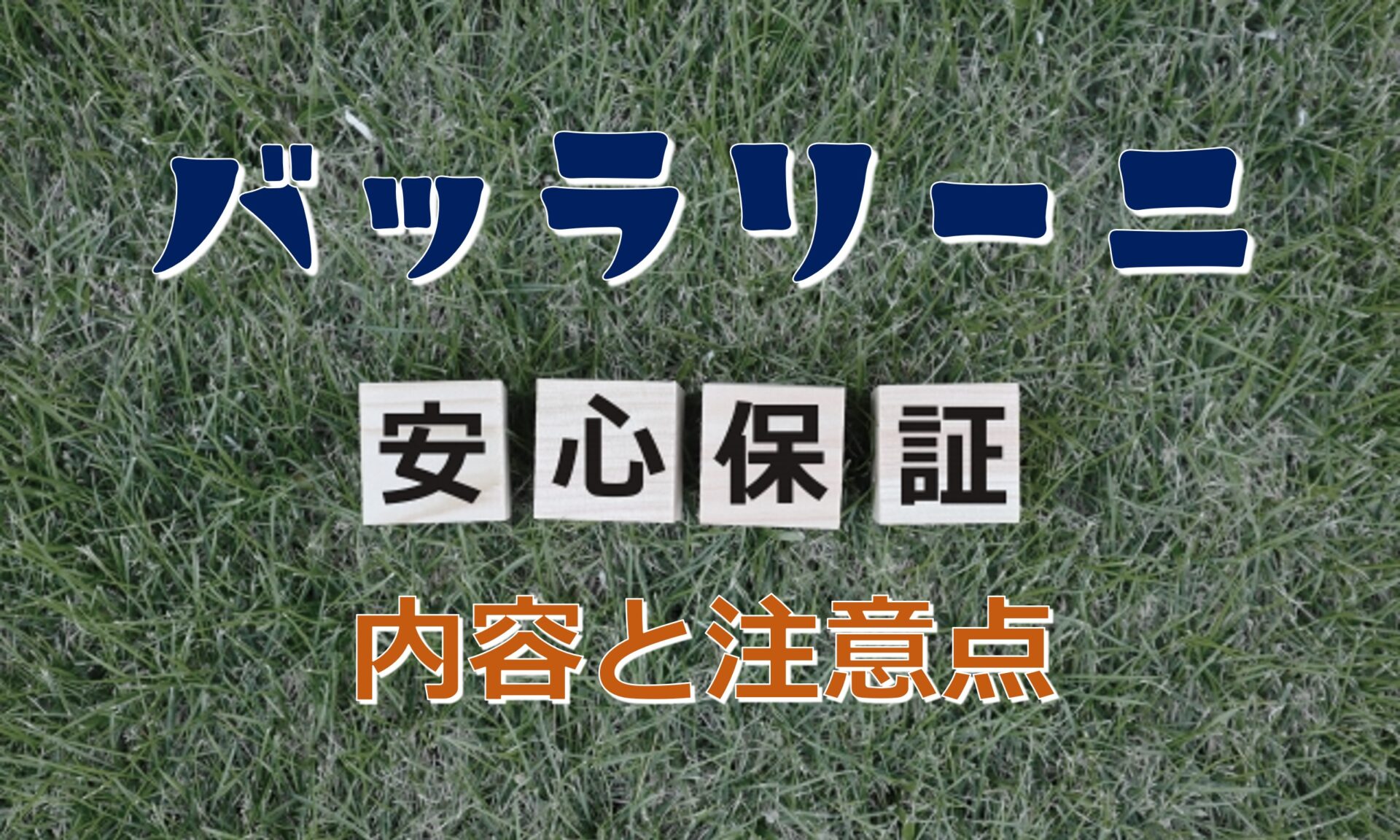 この記事を読めばバッラリーニの保証内容と注意点を知れることがわかる写真