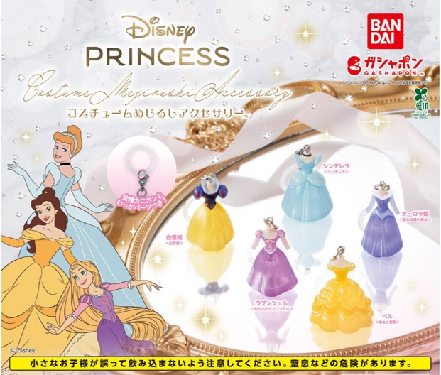 この記事を読めばDisneyPrincessコスチュームめじるしアクセサリー最新設置場所を知れることをイメージできる写真
